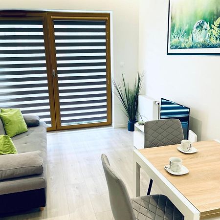 Modern Silver Apartment Krakow Luaran gambar