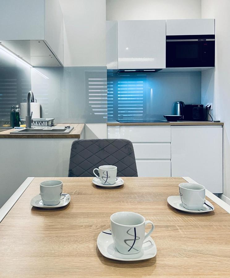 Modern Silver Apartment Krakow Luaran gambar